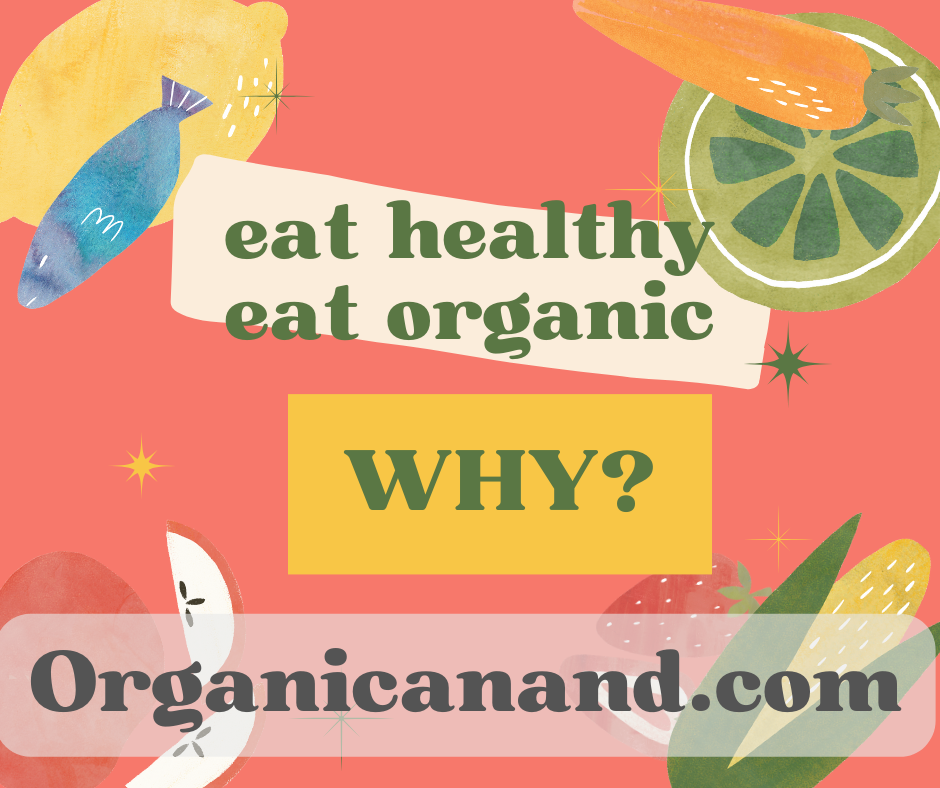 Why organic and preservatives free food is good for you?