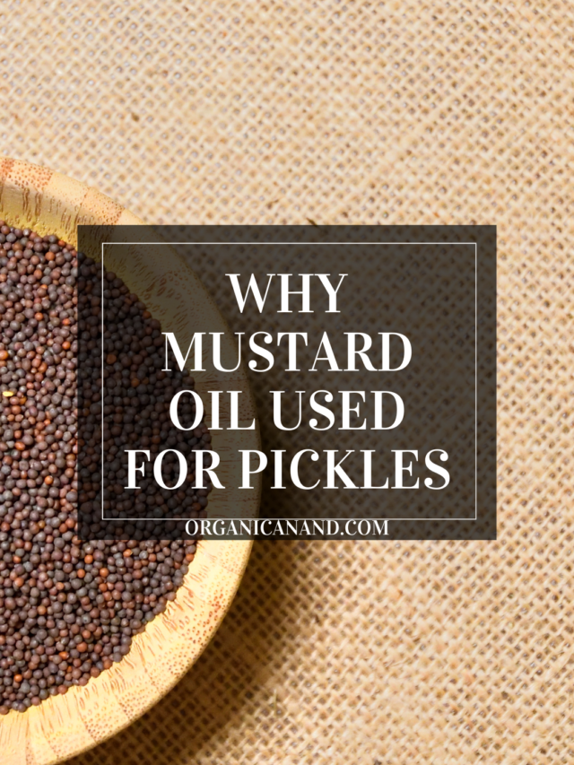why mustard oil for pickles?