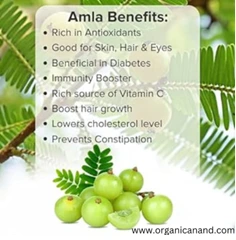 amla candy without sugar