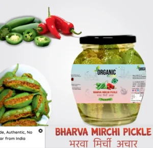 Hari Mirch Ka Bharwa Achar