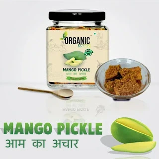 Mango Online India